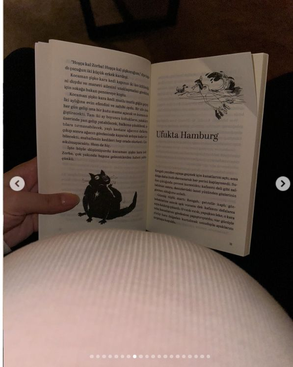 Screenshot_16-1-2025_232221_www.instagram.com.jpeg
