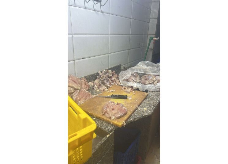 chicken-poisoned.jpeg