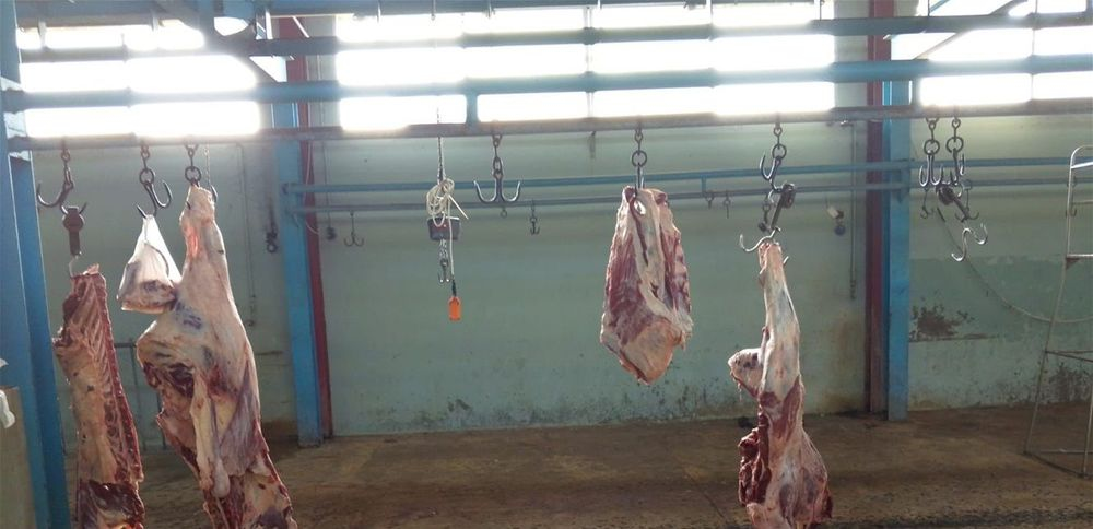إقفال مسلخ صيدا بقرار عاجل