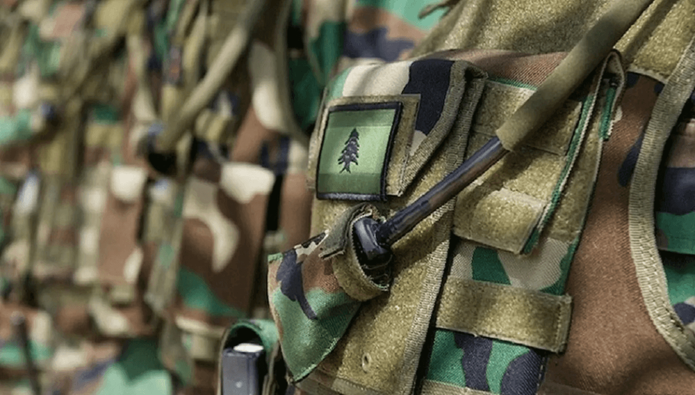 الجيش: إصابة ضابط وعسكريين بانفجار ذخائر في عيناتا