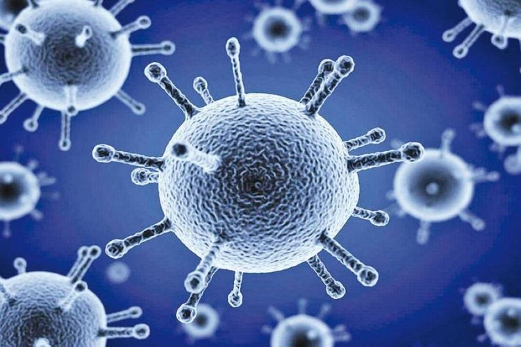 أوّل دولة تسجل تفشٍ لفيروس إنفلونزا الطيور هذا العام.. من هي؟ 