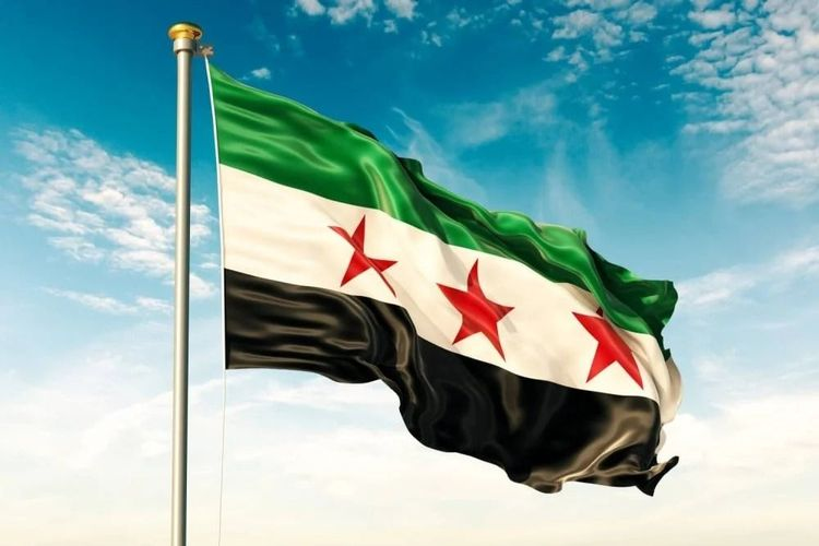 "قاطع أنت لست شجرة".. حملة طائفيّة تعزّز الانقسام السوري!