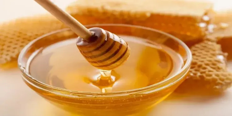 العسل يكافح الباكتيريا؟