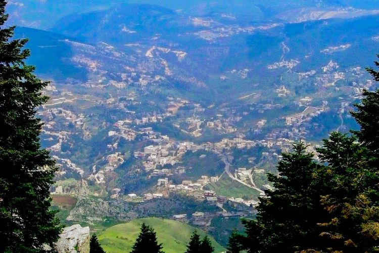 سرقة ومطاردة.. إليكم ما حصل في عكّار فجرًا