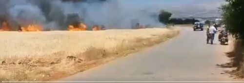 في البقاع... حريق كبير في حقل قمح