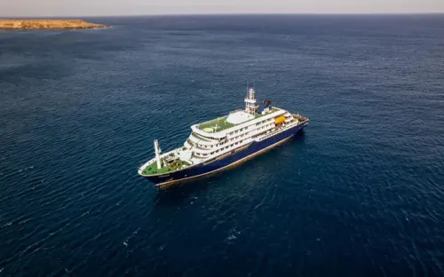 سفينة موبوءة تعيد شبح كورونا.. ما الذي حدث؟