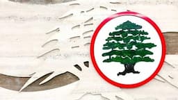 نائب القوّات يتحدث عن فرصة استثنائية للعبور نحو الدولة!