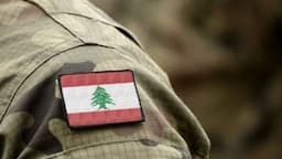 الجيش يُحذّر من الفوضى الإعلامية