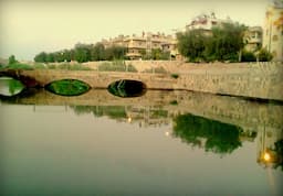 ظاهرة صادمة في نهر العاصي...للمرّة الأولى في التّاريخ ما تداعياتها؟ 