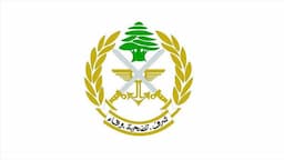 الجيش يوقف مطلوبين ويضبط مخدرات وأسلحة في ثلاث مناطق...إليكم التفاصيل