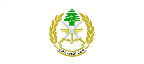 توقيف ٣ مواطنين لتأليفهم خلية مؤيّدة لتنظيم داعش