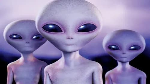 في هذا الشّهر من 2026  لقاء مرتقب بين البشر والكائنات الفضائيّة؟ إليكم التّفاصيل