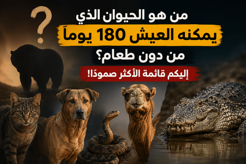 من هو الحيوان الذي يصمد 180 يومًا بلا طعام؟ إليكم أكثر الحيوانات قدرة على تحمّل الجوع!