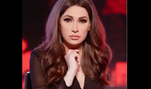 بعد منحه الجنسية اللبنانية... ديما صادق تهاجم!