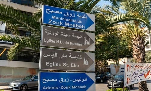 ذوق مصبح في الواجهة.. ماذا ضبطت قوى الأمن؟