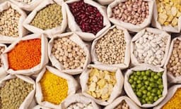 مواد غذائية مليئة بالحشرات تُباع للمواطنين!