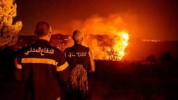 "LARI" تحذّر: خطر الحرائق يتصاعد مع الجفاف والرياح