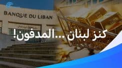 تعرّفوا على الكنز الذي بإمكانه أن يخرج اللّبنانيّين من أزماتهم. 