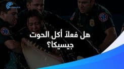  لقد وقعتم بالفخ: حقيقة قصّة الحوت الذي أكل مدرّبته!
