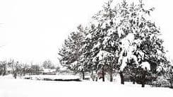 هل يستعدّ لبنان لموجة برد قاسية ومنخفضٍ أشدّ؟