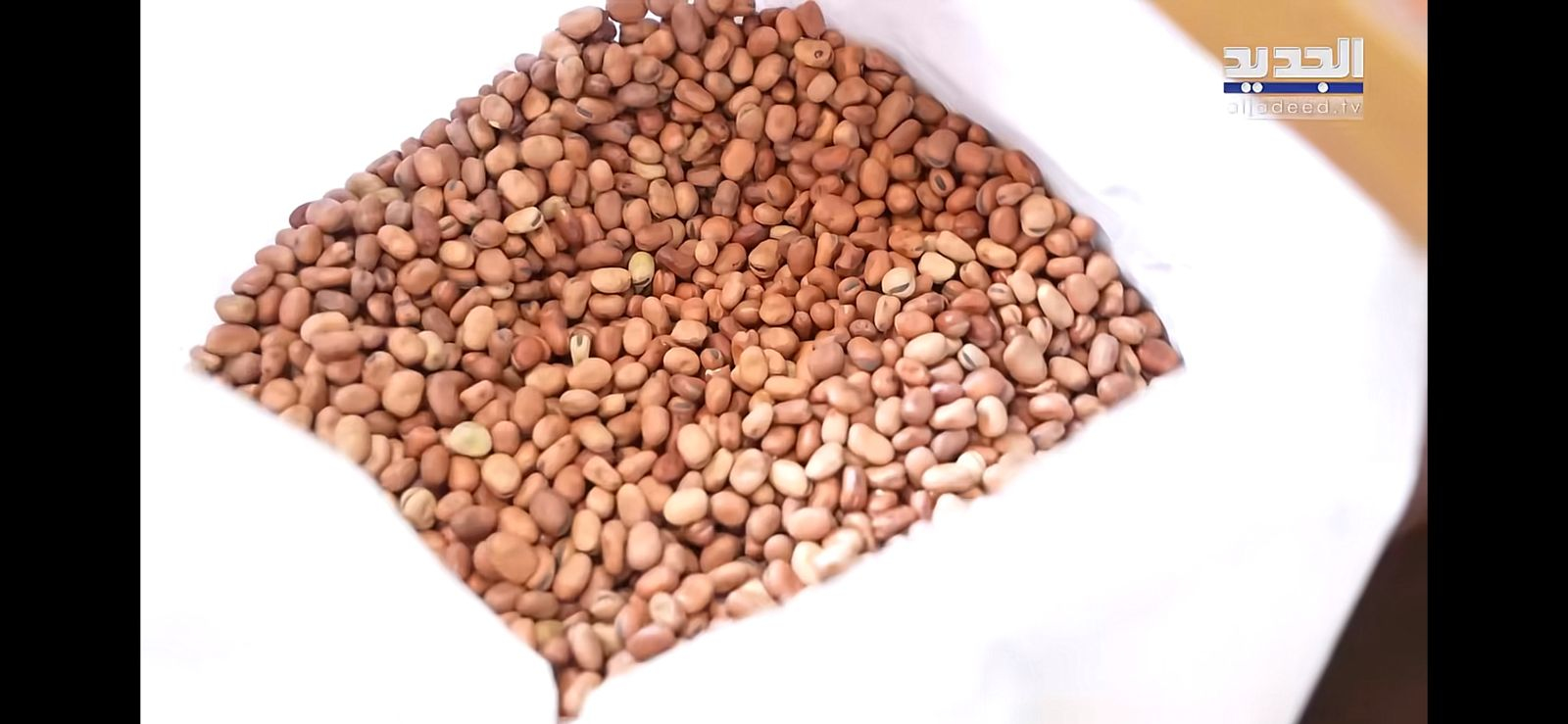 WhatsApp Image 2025-12-18 at 3.11.07 PM.jpeg