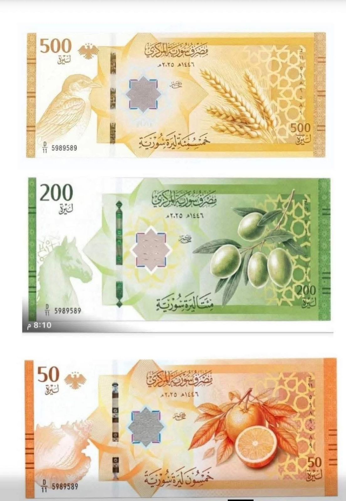 WhatsApp Image 2025-12-30 at 2.54.48 PM.jpeg