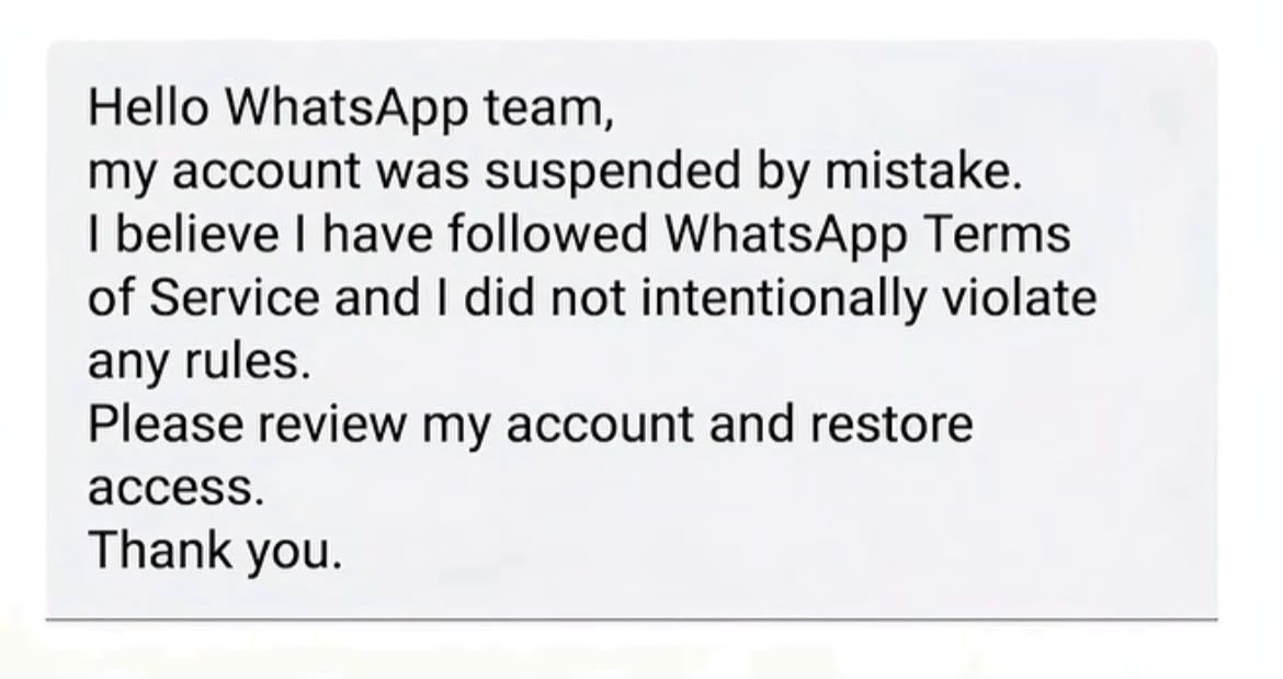 WhatsApp Image 2026-08-04 at 8.59.12 PM.jpeg