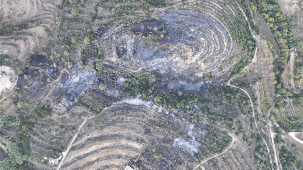 حريق عندقت الكبير... هل هو مفتعل؟