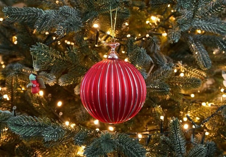 إحباط مخطط لشن هجمات على احتفالات الميلاد ورأس السنة