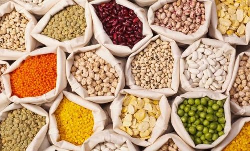 مواد غذائية مليئة بالحشرات تُباع للمواطنين!